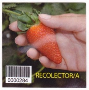 Recolector/a 0000284 nous mettons la qualite de notre produit dans vos mains conocenos en : www.guaperal.com