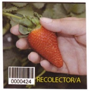 Recolector/a 0000424 nous mettons la qualite de notre produit dans vos mains conocenos en : www.guaperal.com