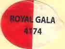 royal gala 4174