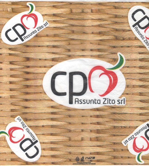 cpo assunta zito srl