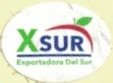 X-sur exportadora del sur