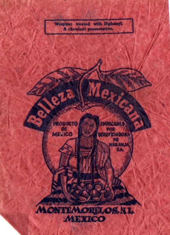 Belleza mexicana producto de mexico monte morelos n.l. mexico