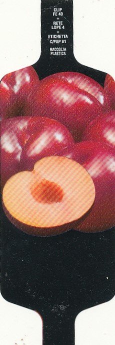 Sansnom (fruits )