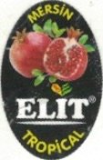 Elit mersin tropical