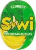 Siwi ecuador premium bananas