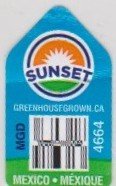 Sunset greenhousegrown.ca mgo 4664 mexico mexique