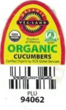 Veg-land organic product of mexico organic cucumbers plu 94062