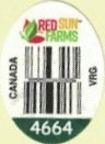Red Sun Farms canada vrg 4664