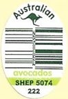 australian avocados shep 5074 222