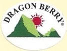 dragon berry