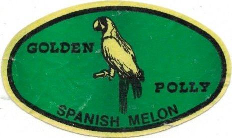 Golden Polly spanish melon