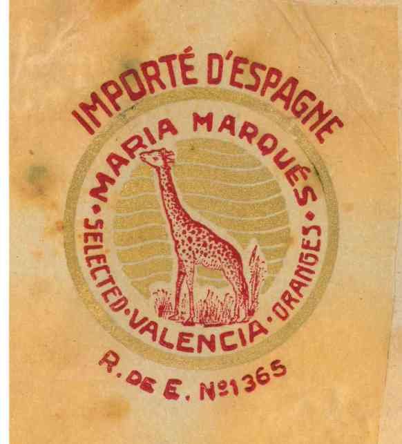 maria marques selected valencia oranges re 1365 importe d espagne