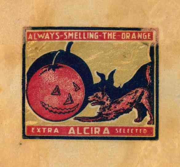 always-smelling-the-orange extra alcira selected