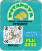 Pitanova palora morona santiago ecuador green fruits cialtda. pepino plu 4333
