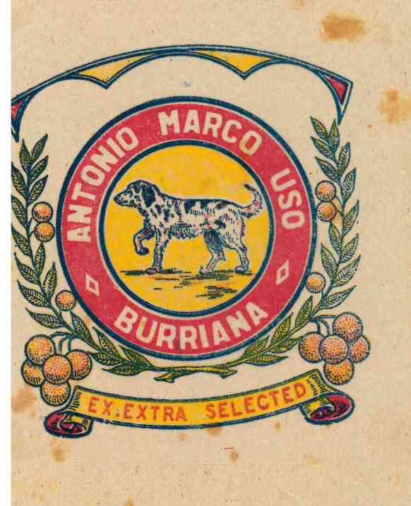 antonio marco uso burriana