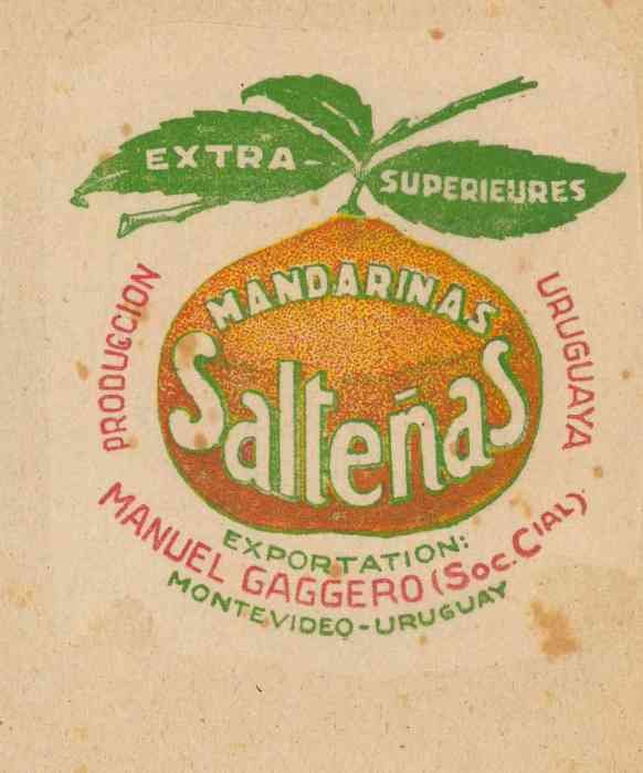 saltenas mandarinas exportation manuel gaggero montevideo uruguay