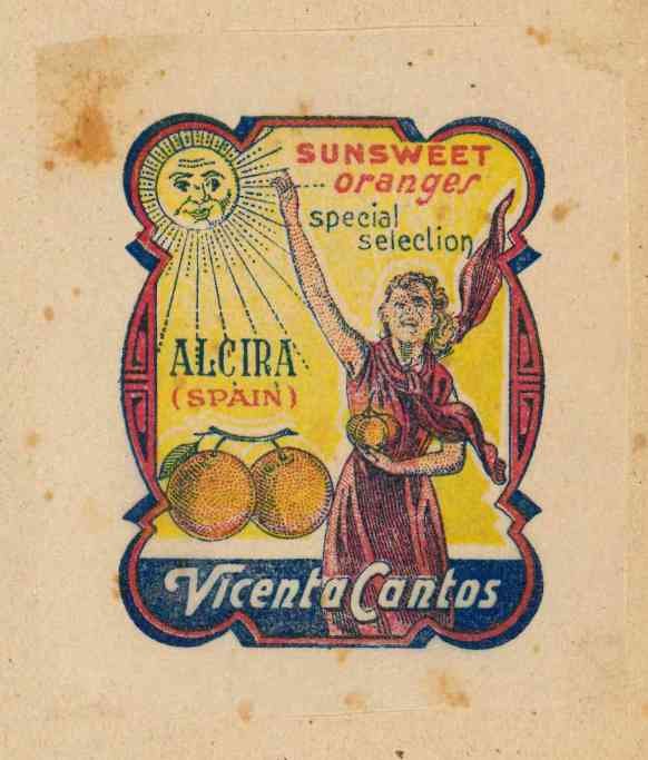 sunsweet oranges special selection alcira spain vicenta cantos