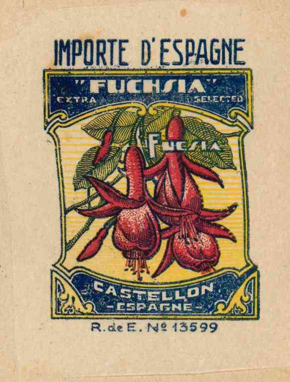 fuchsia extra selected fucsia castelolon espana re 13599 importe d espagne