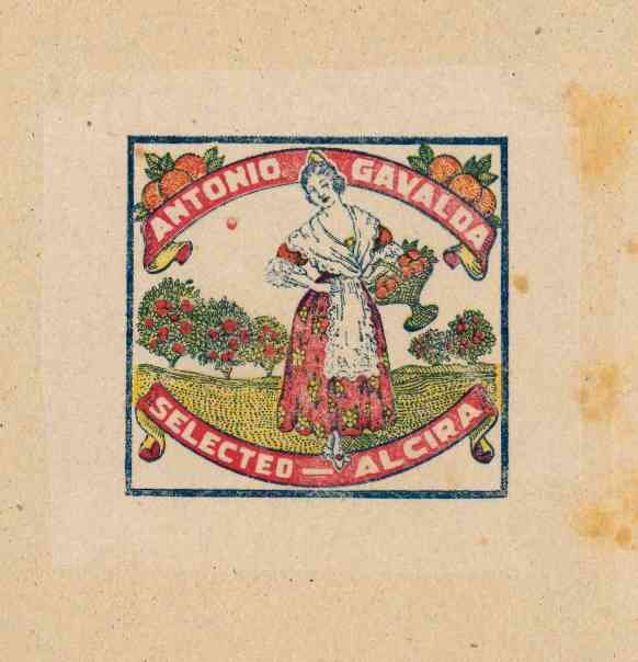 antonio gavalda selected alcira