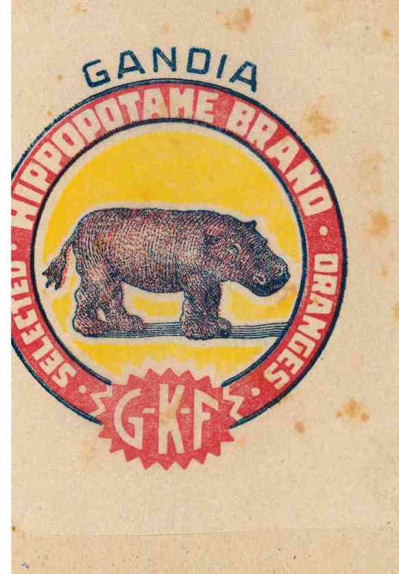 hippopotame brand gandia selected oranges g-k-f