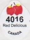 4016 red delicious canada