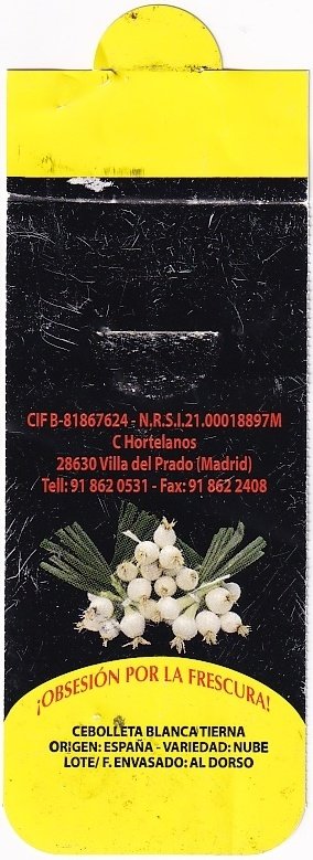 Obsesion por la frescura cebolleta blanca tierna oeigen espana
