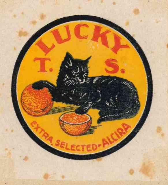 t. s. lucky extra selected alcira