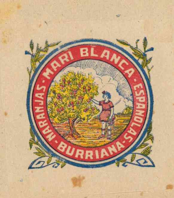 mari blanca naranjas espanolas burriana