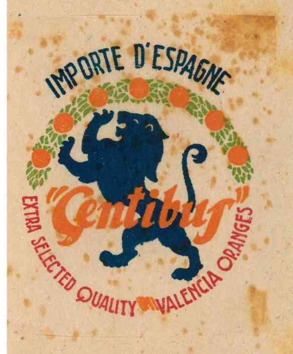 gentibus extra quality valencia oranges importe d espagne