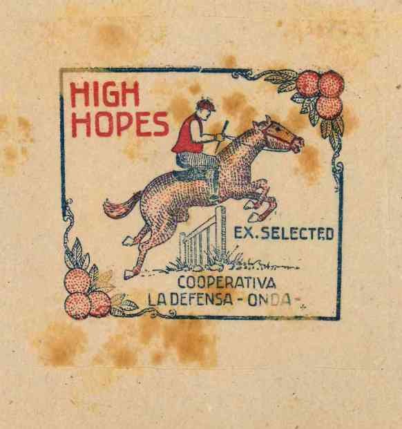 high hopes ex selected Cooperativa la defensa onda
