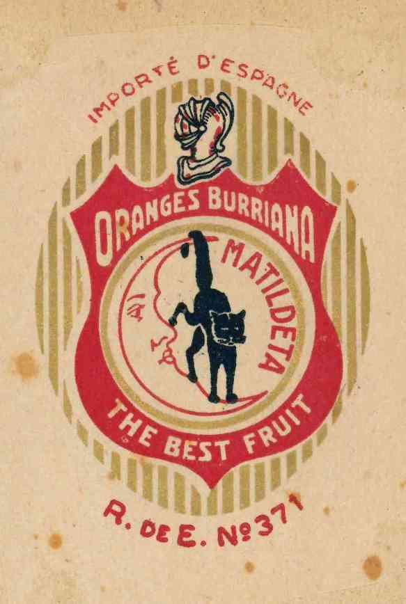 Matildeta oranges burriana the best fruitre 371 importe d espagne