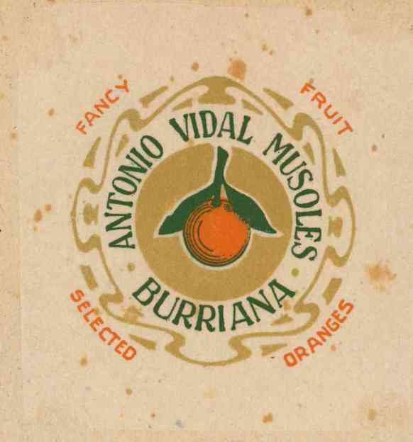 antonio vidal musoles burriana selected oranges
