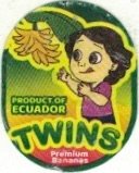 Twins product of ecuador premium bananas