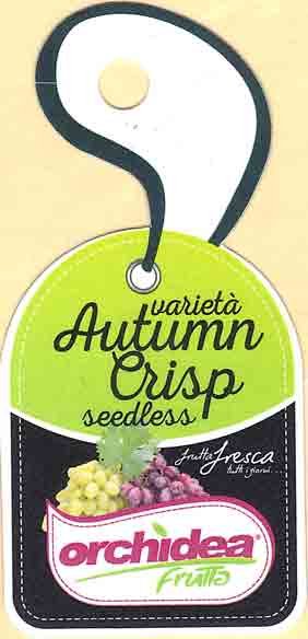 Orchidea frutta varieta autumn crisp seedless