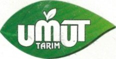 Umut Tarim