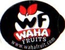wf waha  fruits www.wahafruit.com