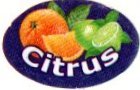 citrus