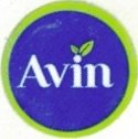 Avin