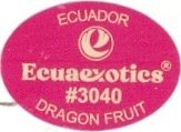 Ecuaexotics ecuador #3040 dragon fruit