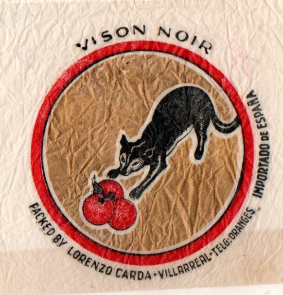 vison noir packed by lorenzo carda villarreal importado de espana