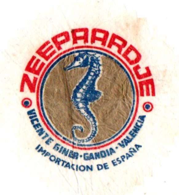 Zeepaardje vicente giner gandia valencia importacion de espana