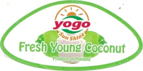 Yogo Sun Shine fresh young coconit produce of thailand
