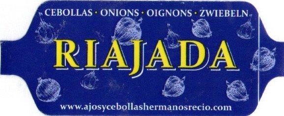 riajada cebollas onions oignons zwiebeln www.ajosycebollashermanosrecio.com