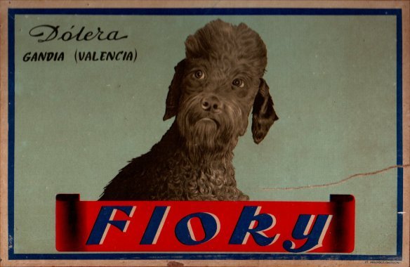 fiory dolera gandia valencia