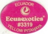Ecuaexotics ecuador #3319 yellow pitahaya