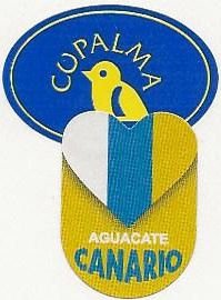 cupalma aguacate canario