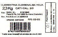 clementina clemenalba hoja