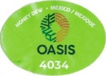 Oasis honey dew mexico mexique 4034
