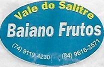 Baiano frutos vale do salitre