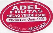 Adel frutas meloa verde #3101 frutas com qualidade